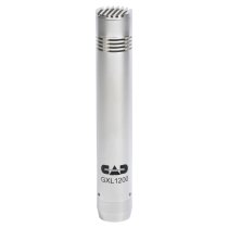 Cardioid Condenser