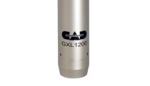 Cardioid Condenser